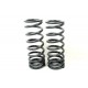 Terrafirma Rear Springs 2 Inch (50mm) Lift 90/D1/RRC - Medium Load