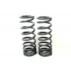 Terrafirma Rear Springs 2 Inch (50mm) Lift 90/D1/RRC - Medium Load