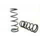 Terrafirma Front Springs 2 Inch (50mm) Lift 90/D1/RRC - Medium Load