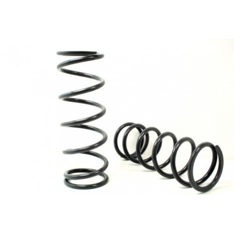 Terrafirma Front Springs 2 Inch (50mm) Lift 90/D1/RRC - Medium Load