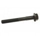 Cylinder Head Bolt 200/300 TDI