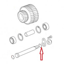 o ring transfer box-Nut side