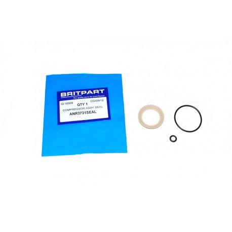 EAS COMPRESSOR SEAL KIT