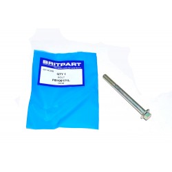 Bolt Flanged Head M8 x 85mm