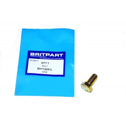 Hex Head Setscrew M12 x 25 Transmission Mount and Other Applications