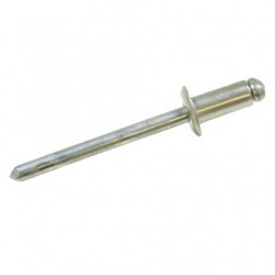 Rivet de carrosserie couleur argent 35mm - oem