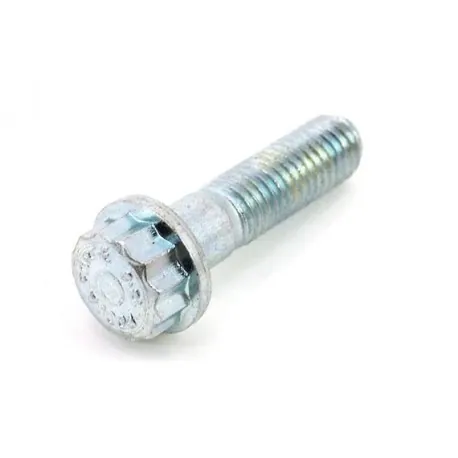 BRAKE DISC BOLT
