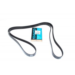 Primary auxiliary drive belt - range rover l322 v8 - dayco