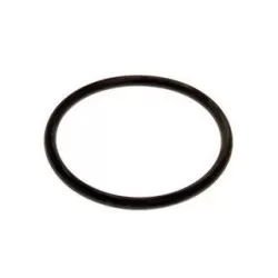 Water pump RR P38 TD O ring - genuine