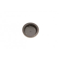 cap valve stem