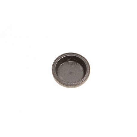 cap valve stem