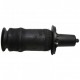 Air spring Front suspension RR P38 - DUNLOP