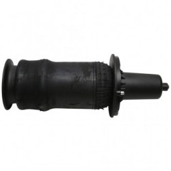 Air spring Front suspension RR P38 - DUNLOP