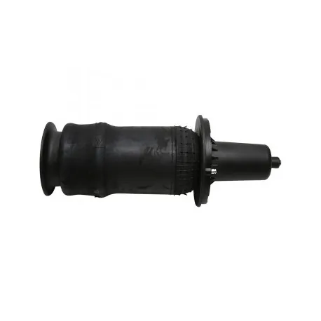 Air spring Front suspension RR P38 - DUNLOP
