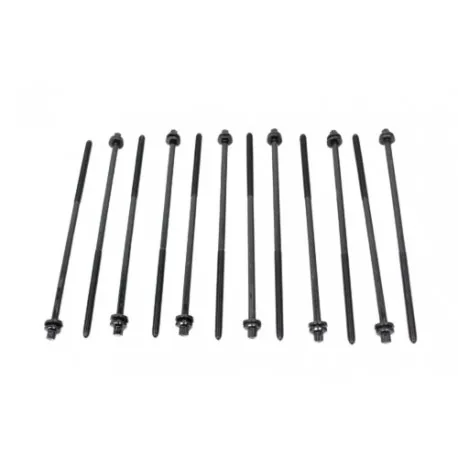 lot de 12 vis de culasse TD5 - OEM
