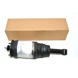 Damper Assy Range rover sport - Rear - BWI