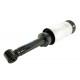 Shock absorber assy Front Range Rover Sport - dunlop