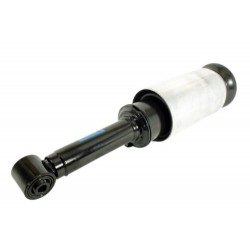 Shock absorber assy Front Range Rover Sport - dunlop