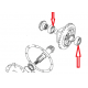Taper Roller Bearing - Diff Carrier - timken