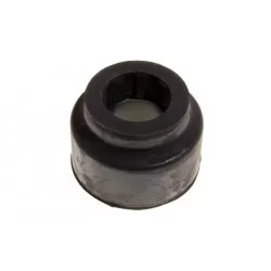 Bush front suspension radius arm - FROM 1997