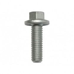 300 TDI exhaust gaz recirculation blanking plate screw