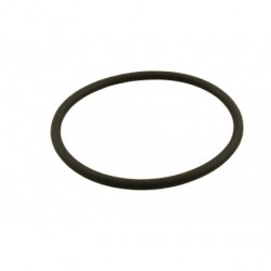 O ring - thermo HSG - RR P38 - 2.5L 6 CYL BMW