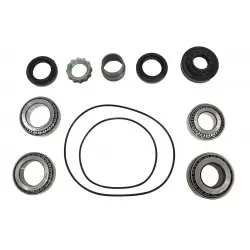 Freelander2 / Range Rover Evoque rear diff overhaul kit