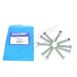 5/16 UNF counter sunk door hinge screw