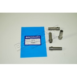 Inlet Valve Guide Petrol