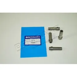 Inlet Valve Guide Petrol