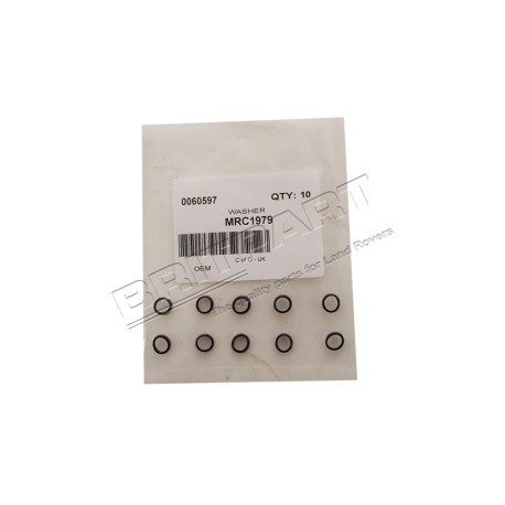 Nylon Washer - Door Mirror Fixing