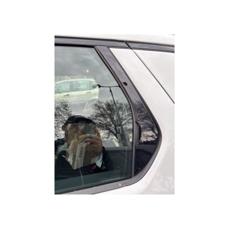 Baguette porte arriere Gauche Discovery Sport