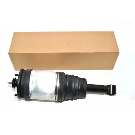 Damper Assy Range rover sport - Rear - NOS