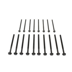 Defender 2.2L TD4 Puma head bolt set