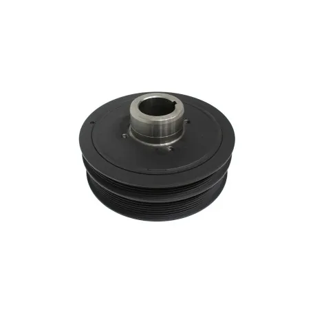 Poulie Damper pour moteur 300 tdi BP