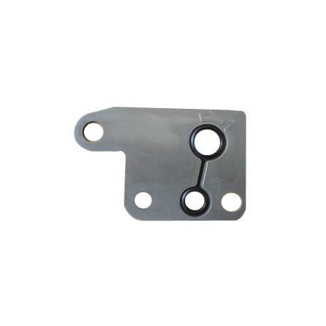 PUMA TD4 Pump Vacuum gasket Land Rover Genuine - 1