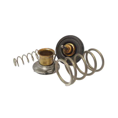 Thermostat 4,4L TDV8 -LR genuine
