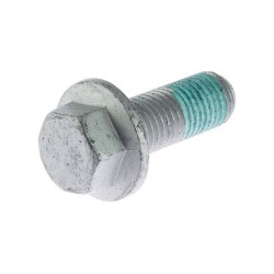 Screw M12x30